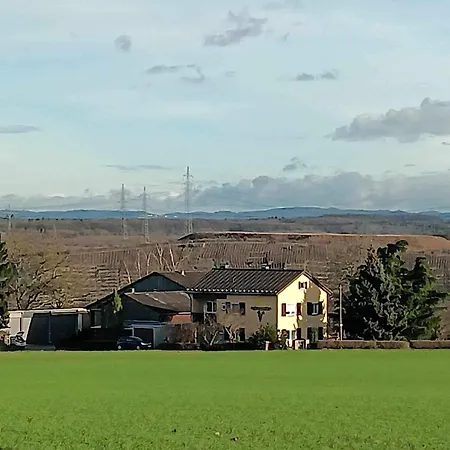 Sonnenhof Kleiningersheim